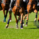 Melbourne Cup 2025